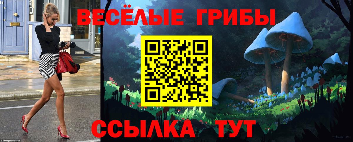 Псилоцибиновые грибы прущие грибы  Галлюциногенные грибы Psilocybe  магазин    Нарткала  Вход с VPN 